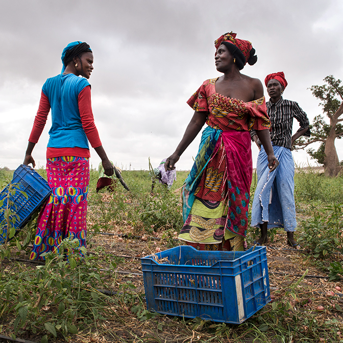 Senegal